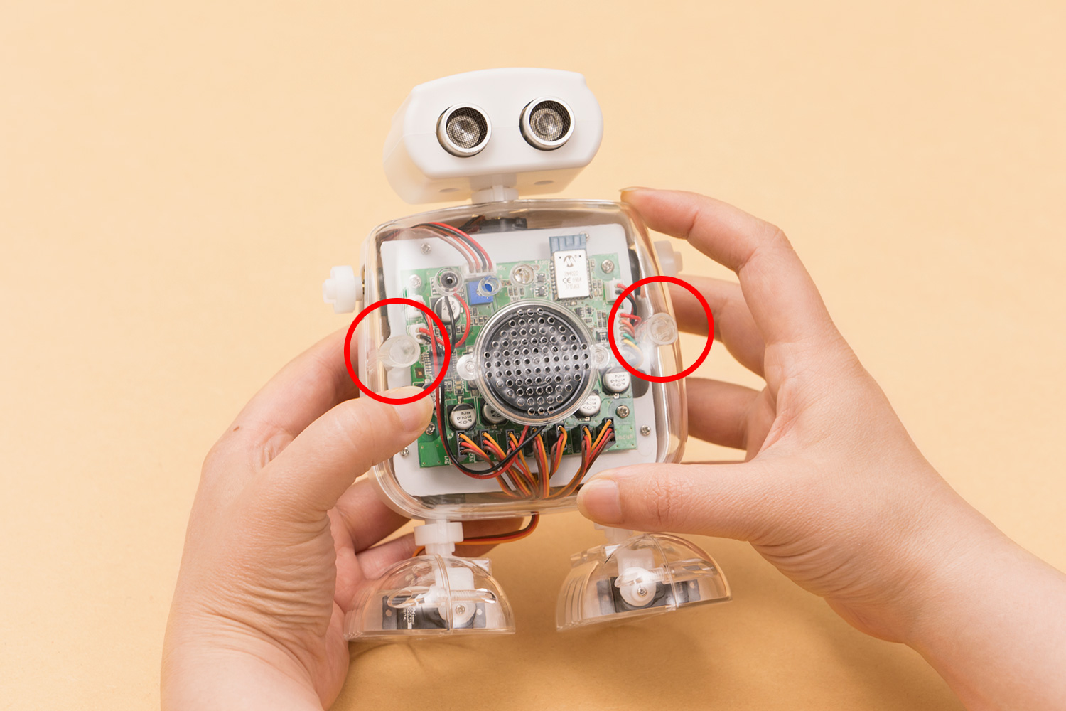 ネジの穴は2か所です。