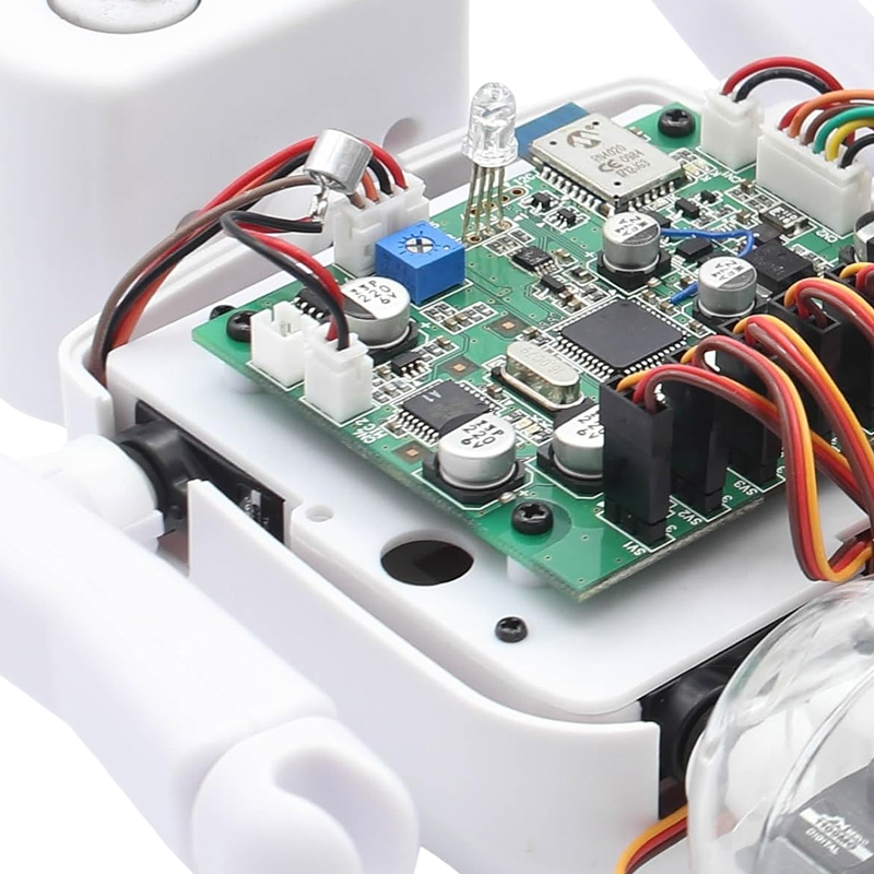 透明ボディのクムクム