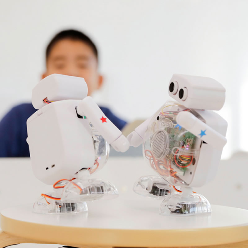 透明ボディのクムクム