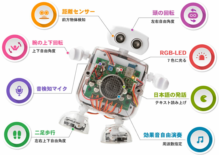 ABOUT – プログラミングロボットQumcum（クムクム）